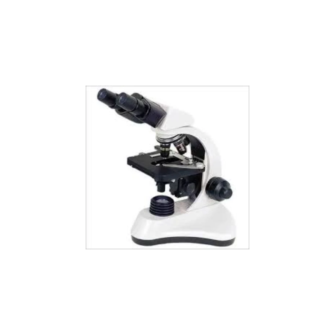 product/1ff7758a-a89e-482f-9956-96a05a2519b4.webp