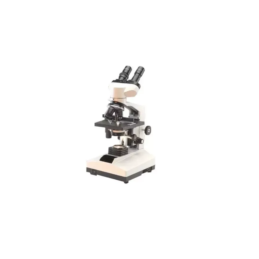 product/5422a41b-b22e-4074-b8db-35b12e8363f8.webp