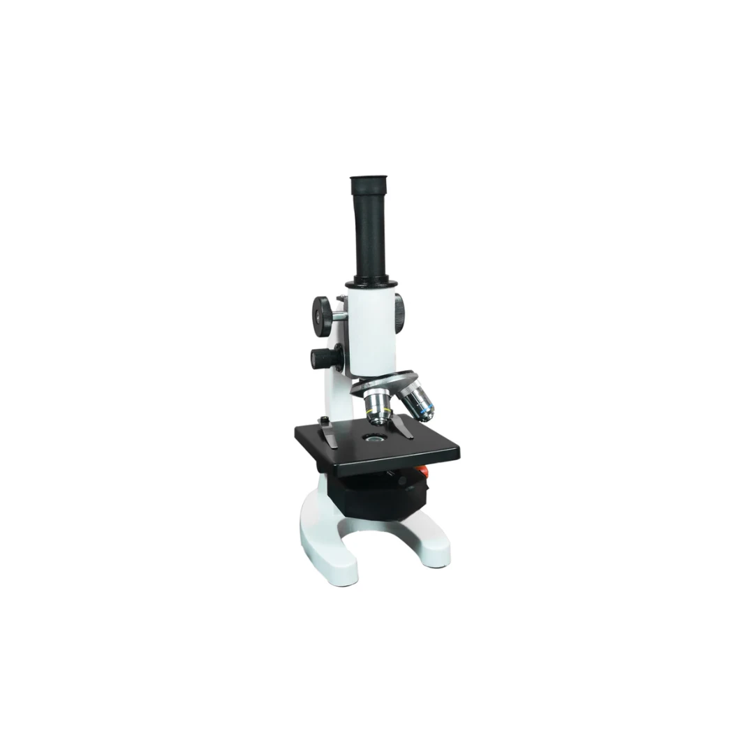 product/727dfdf0-02f2-4c8b-9564-9035e29973ac.webp