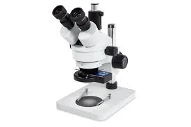 product/bfa08c38-216d-4452-82c7-920273940553.webp