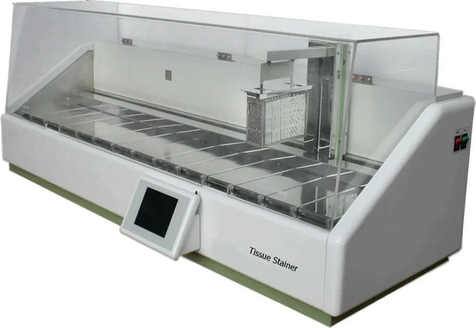 product/d33875eb-f976-4966-8b86-86f835ed3362.webp