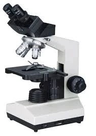 product/dd58f2d3-d6c2-4b9e-8244-4ce50911e7ac.webp