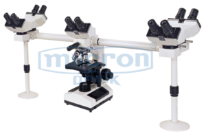 Penta Head Microscope
