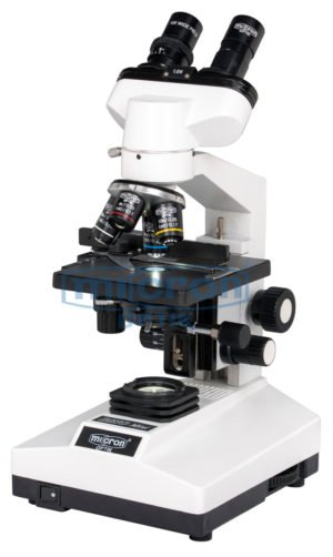 MODEL: BINO MINI