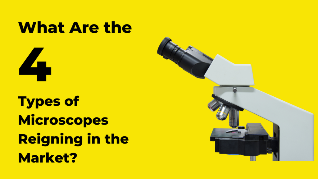 What Are the Four Types of Microscopes Reigning in the Market?