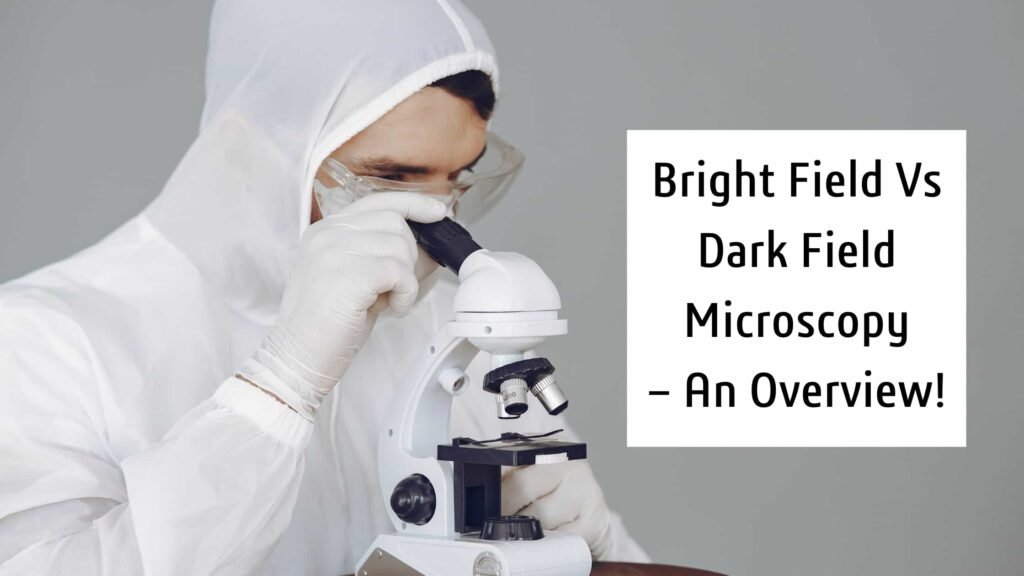 Bright Field Vs Dark Field Microscopy – An Overview!
