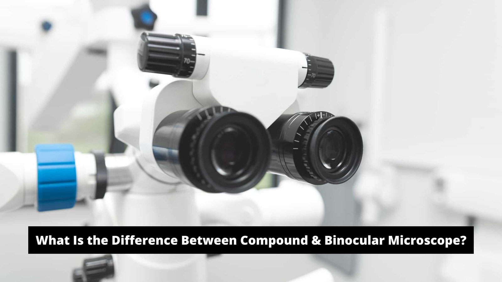 What Is the Difference Between Compound & Binocular Microscope