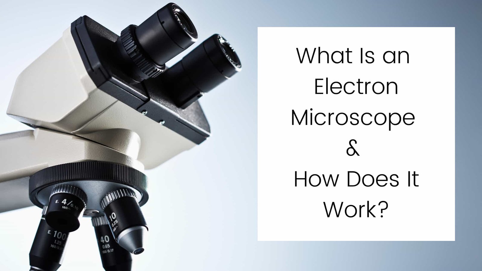 What Is an Electron Microscope & How Does It Work? Microscope