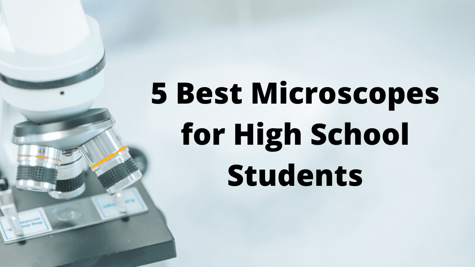 5 Best Microscopes for High School Students Microscope Manufacturer