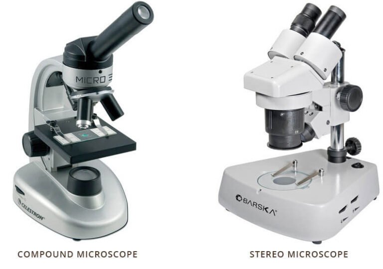 Stereo Microscope vs. Compound Microscope A Beginner’s Guide