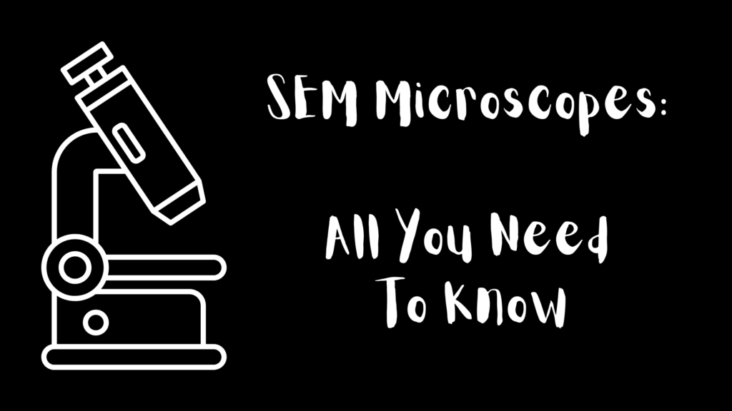 SEM Microscopes All You Need To Know