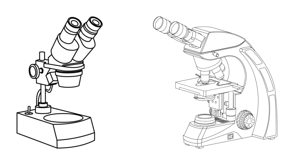 Binocular Microscope vs. Stereo Microscope